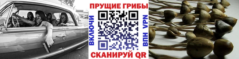Галлюциногенные грибы прущие грибы  hydra как войти  Краснослободск 